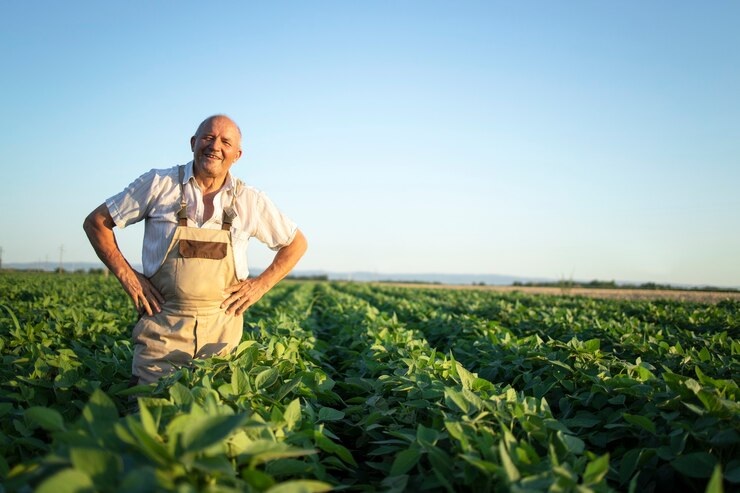 ITR – Imposto Territorial Rural (prazo 30/09): Importância da entrega correta da obrigação